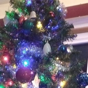 Meet your Posher, Carole